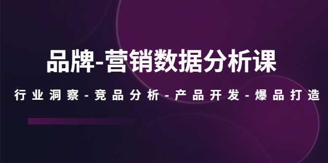 （5565期）品牌-营销数据分析课，行业洞察-竞品分析-产品开发-爆品打造
