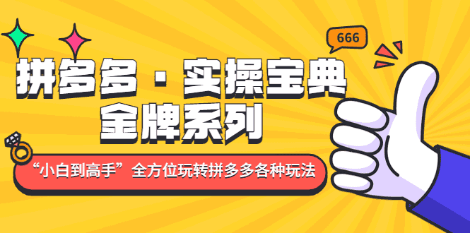 （4934期）拼多多·实操宝典：金牌系列“小白到高手”带你全方位玩转拼多多各种玩法