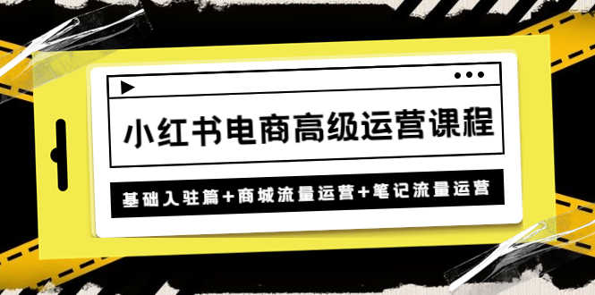 （4638期）小红书电商高级运营课程：基础入驻篇+商城流量运营+笔记流量运营