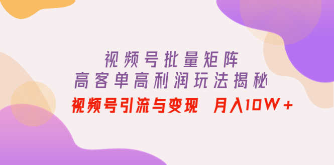 （4193期）视频号批量矩阵的高客单高利润玩法揭秘： 视频号引流与变现 月入10W+