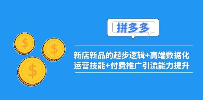 （3824期）2022拼多多：新店新品的起步逻辑+高端数据化运营技能+付费推广引流能力提升