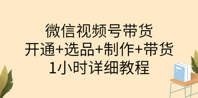 （3515期）陈奶爸·微信视频号带货：开通+选品+制作+带货（1小时详细教程）