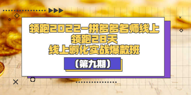 （3370期）领跑2022-拼多多名师线上领跑28天，线上孵化实战爆款班（第九期）