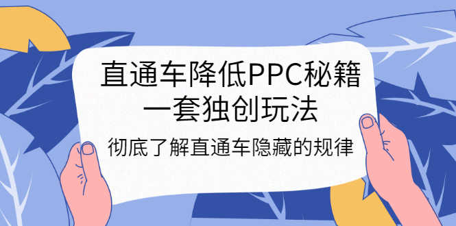 （3013期）直通车降低PPC秘籍，一套独创玩法：彻底了解直通车隐藏的规律