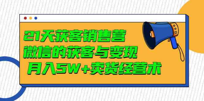 21天获客销售营，带你微信的获客与变现  月入5W+卖货经营术