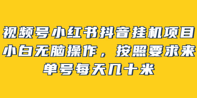 视频号小红书抖音挂机项目，小白无脑操作，按照要求来，单号每天几十米