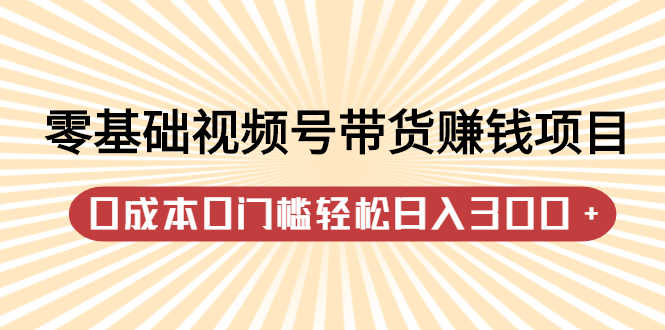 （2414期）零基础视频号带货赚钱项目，0成本0门槛轻松日入300+【视频教程】