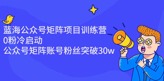 （2405期）蓝海公众号矩阵项目训练营，0粉冷启动，公众号矩阵账号粉丝突破30w