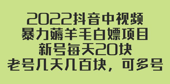 （2402期）2022抖音中视频暴力薅羊毛白嫖项目：新号每天20块，老号几天几百块，可多号