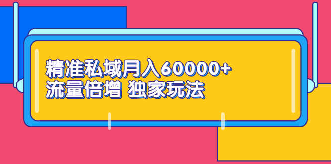 （2353期）精准私域月入60000+ 流量倍增 独家玩法（9节视频课）