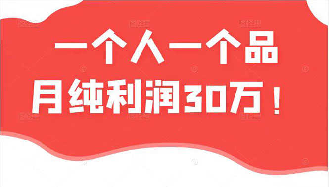 （2343期）某公众号付费文章：一个人一个品月纯利润30万的蓝海电商经典案例！