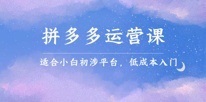 （2323期）拼多多运营课，适合小白初涉平台，低成本入门 创造销量和利润的方法