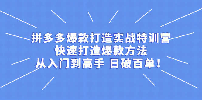 （2237期）拼多多爆款打造实战特训营：快速打造爆款方法，从入门到高手 日破百单