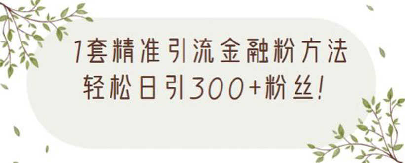 （2156期）1套精准引流金融粉方法，轻松日引300+粉丝【视频课程】
