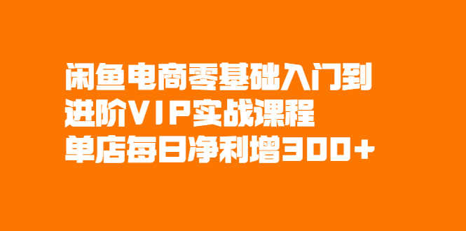 （2082期）闲鱼电商零基础入门到进阶VIP实战课程，单店每日净利增300+