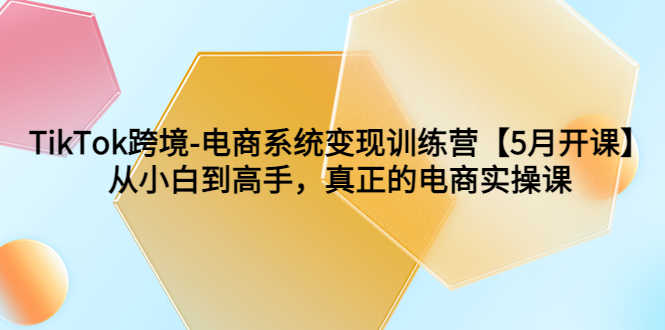 （6058期）TikTok跨境-电商系统变现训练营【5月新课】从小白到高手，真正的电商实操课