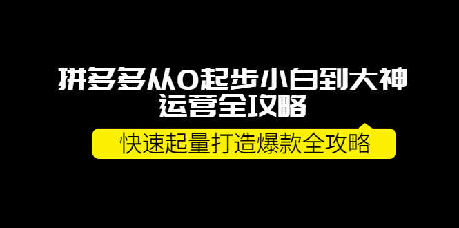 （3884期）拼多多从0起步小白到大神运营全攻略，快速起量打造10W+爆款全攻略！