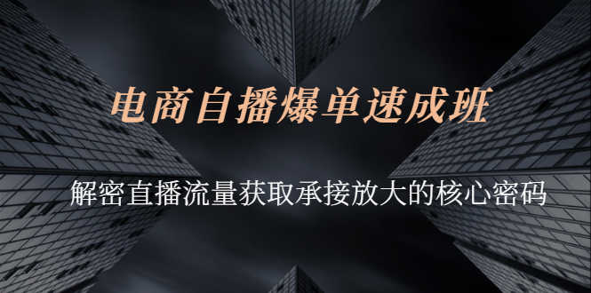 （2584期）电商自播爆单速成班：解密直播流量获取承接放大的核心密码