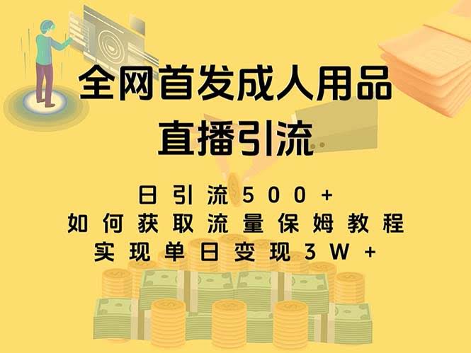 （8193期）最新全网独创首发，成人用品直播引流获客暴力玩法，单日变现3w保姆级教程