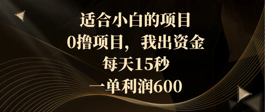 （8571期）适合小白的项目，0撸项目，我出资金，每天15秒，一单利润600