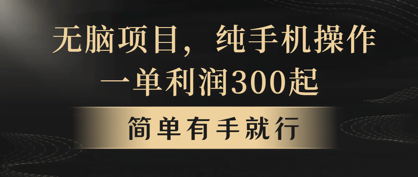 （10589期）无脑项目，一单几百块，轻松月入5w+，看完就能直接操作