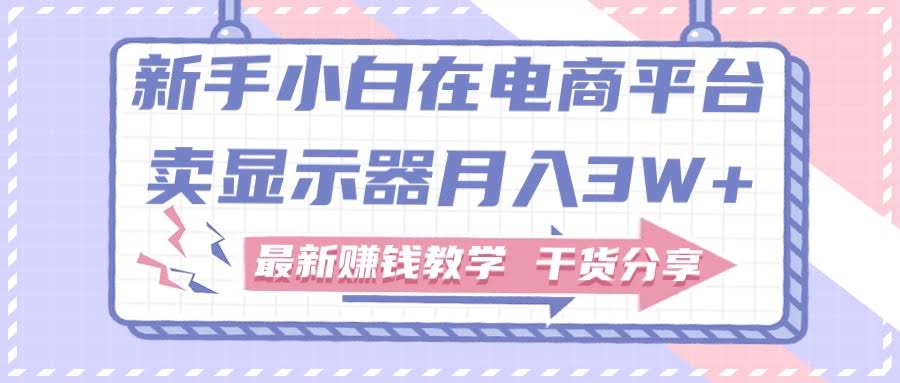 （11053期）新手小白如何做到在电商平台卖显示器月入3W+，最新赚钱教学干货分享