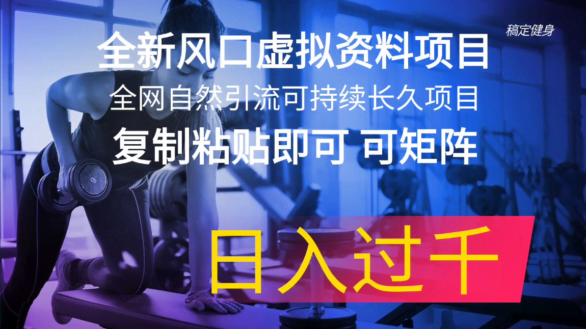 （11587期）全新风口虚拟资料项目 全网自然引流可持续长久项目 复制粘贴即可可矩阵…