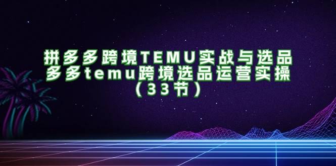 （11934期）拼多多跨境TEMU实战与选品，多多temu跨境选品运营实操（33节）