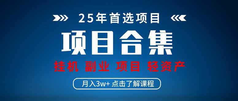 （14175期）2025 实操项目合集 挂机类型 直播类型 轻资产创业类型 课程分享各项目…