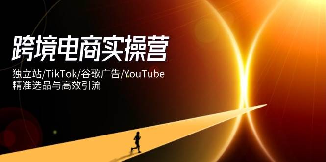 (14419期)跨境电商实操营:独立站/TikTok/谷歌广告/YouTube,精准选品与高效引流