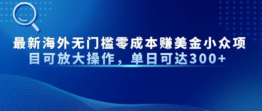（14542期）最新海外无门槛零成本赚美金小众项目可放大操作，单日可达300+