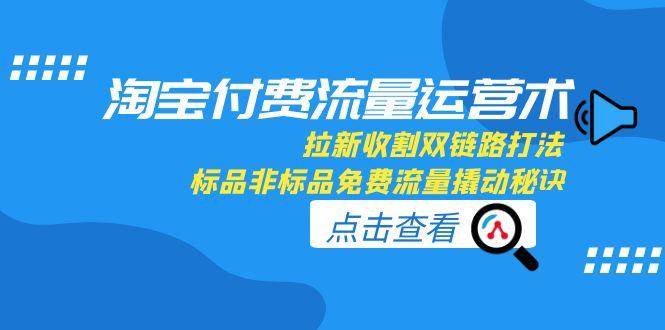（15135期）淘宝付费流量运营术，拉新收割双链路打法，标品非标品免费流量撬动秘诀