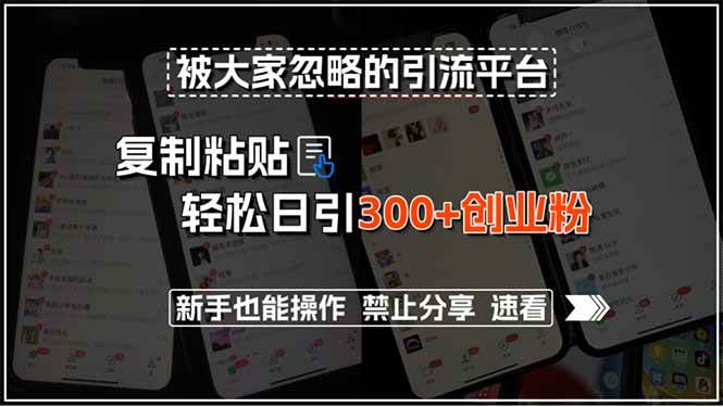 （15428期）被大家忽略的引流平台，复制粘贴轻松日引300+创业粉，新手也能操作，禁…