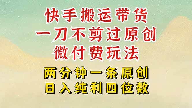 （15577期）快手黑科技搬运带货，一刀不剪过原创，微付费投流玩法，轻松日入四位数…