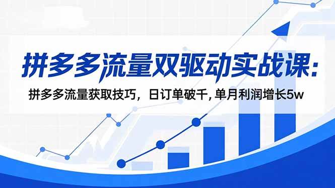 （16563期）拼多多流量双驱动实战课：拼多多流量获取技巧，日订单破千,单月利润增长5w