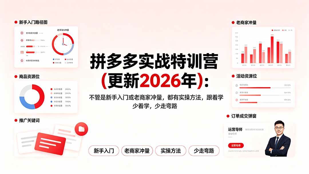 拼多多实战特训营(更新2026年)：不管是新手入门或老商家冲量，都有实操方法，跟着学，少走弯路