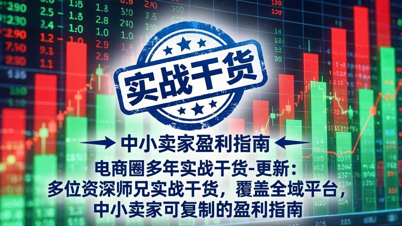 电商圈多年实战干货-更新2026：多位资深师兄实战干货/覆盖全域平台，中小卖家可复制的盈利指南