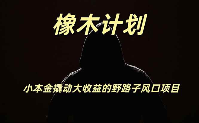 橡木计划，小投入撬动高回报的风口野路子项目，一天投入2小时左右